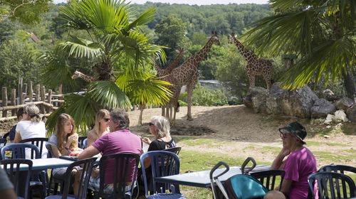 La Savane - Restaurant - ZooParc de Beauval