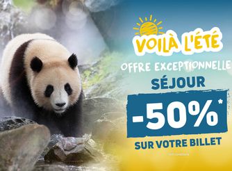 Offre été - Promotion séjours chambres et billets - ZooParc de Beauval