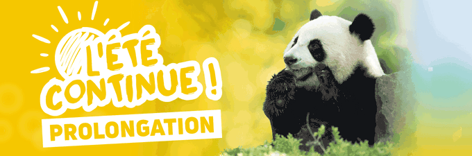 Remise sur les séjours et billets - Offre spéciale l'été continue - ZooParc de Beauval