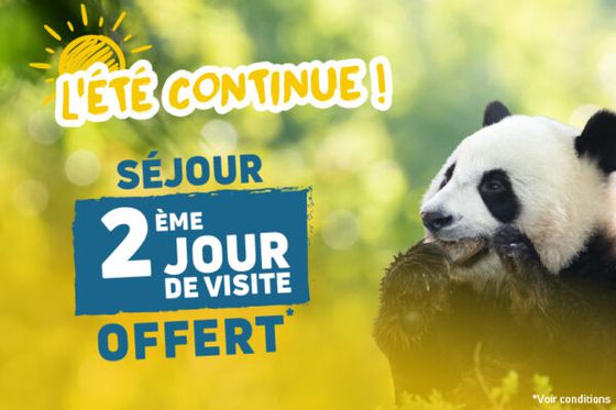 L’Été Continue : profitez de nos offres exceptionnelles sur les billets et les séjours
