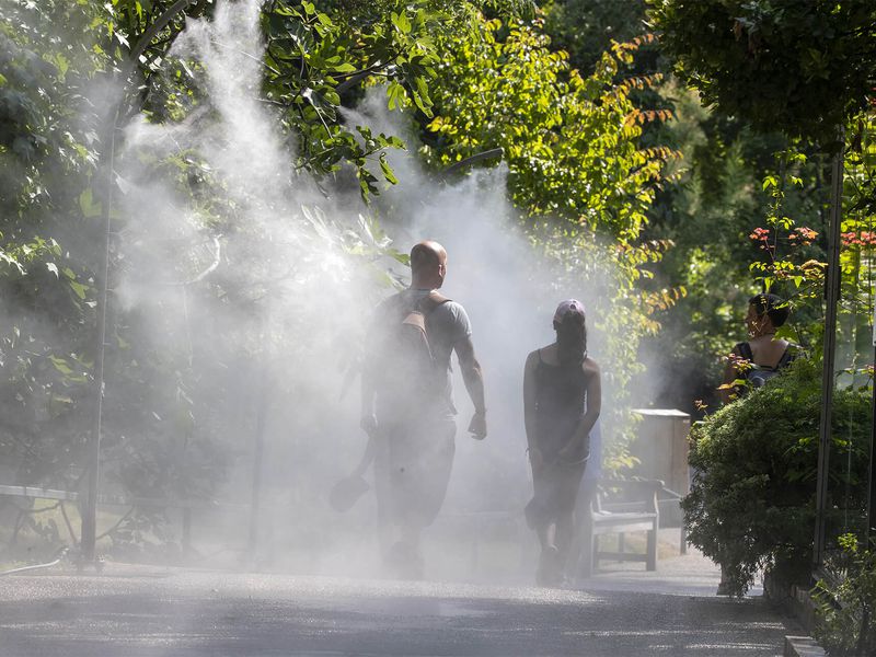 Come and visit the ZooParc de Beauval in summer - Water misters