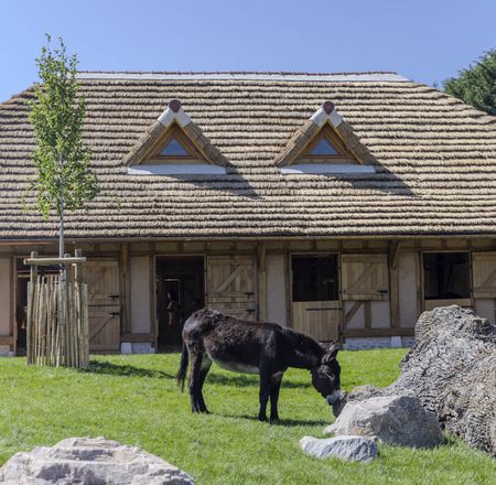 Nouveautés 2026 - Terres Rouges et Bucolia - ZooParc de Beauval