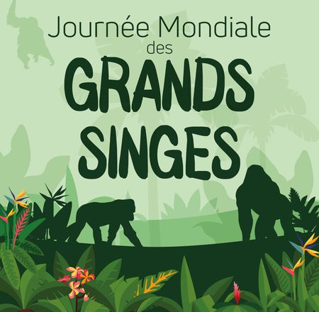 Journée mondiale des Grands Singes - Animations Maison Beauval Nature - ZooParc de Beauval