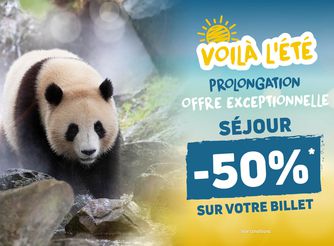 Offre été - Promotion séjours chambres et billets - ZooParc de Beauval