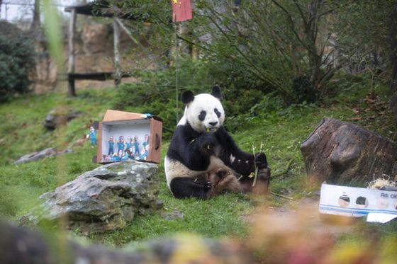 Un dernier goûter empreint d’une vive émotion