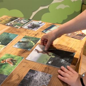 Animations Europe Maison Beauval Nature - Puzzle caméra trap - ZooParc de Beauval