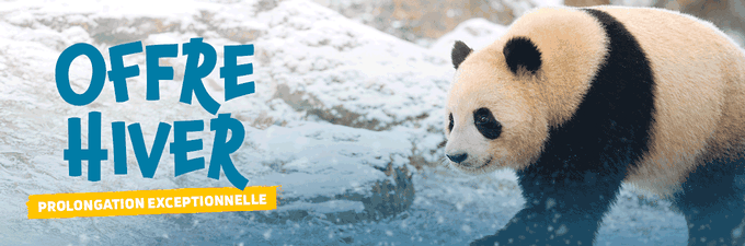 Remise sur les séjours - Offre spéciale hiver - ZooParc de Beauval