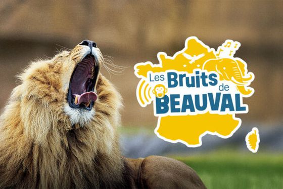 Les Bruits de Beauval : un concours inédit pour la Caravane du Tour de France 2026