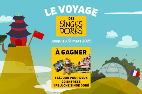 Le Voyage des singes dorés : jouez et tentez de gagner de beaux cadeaux !