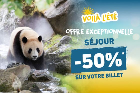 Voilà l’été : profitez de nos offres exceptionnelles sur les billets et les séjours