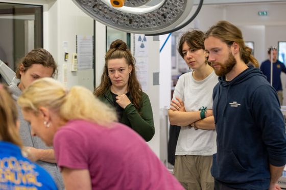 Beauval a accueilli l’université d’été européenne des vétérinaires