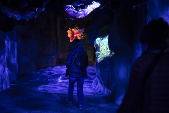 Visite guidée MonstroZoo Visite guidée MonstroZoo