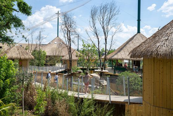 Grande Volière Sud-Américaine - Territoire - ZooParc de Beauval