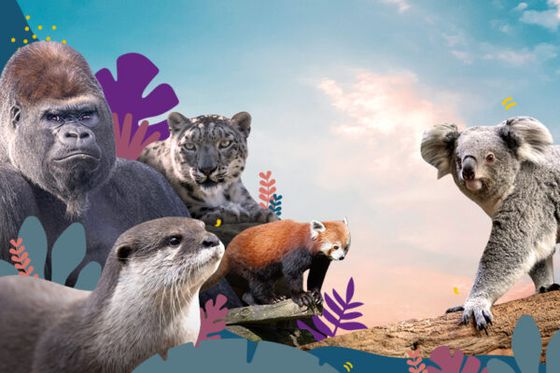 Quel est votre animal totem ? Jouez et gagnez des parrainages d’une valeur de 1000 € et des entrées !