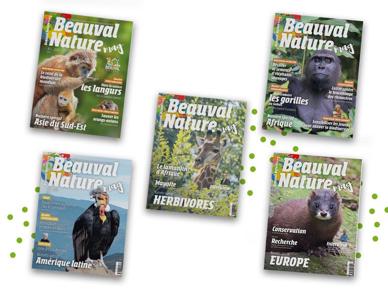 Magazine numéro 4 Beauval Nature - Association Beauval Nature - ZooParc de Beauval
