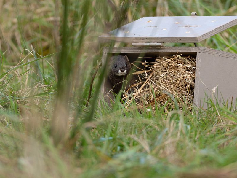 Préserver la vie sauvage - Nos missions - ZooParc de Beauval