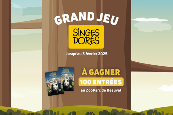 Grand jeu Singes dorés : 100 entrées à Beauval pour 2025 à gagner !