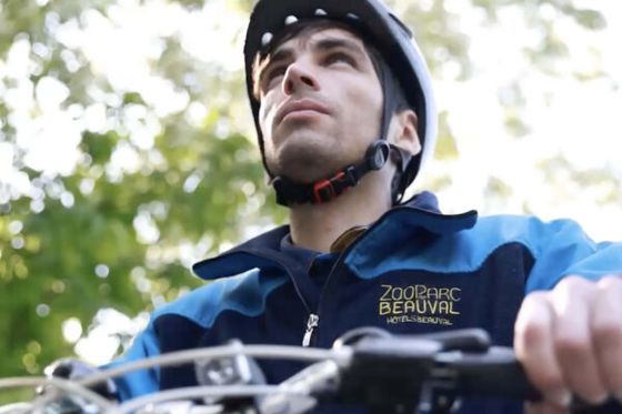 Pandas et singes dorés sur le Tour de France en 2025 !