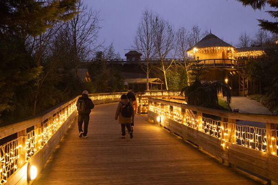 Un conte de Noël au cœur du parc…