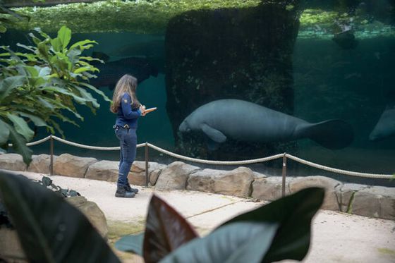 Des stages en éthologie proposés au ZooParc de Beauval