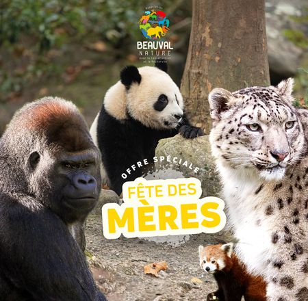 Offre Fête des Mères - Parrainage - Association Beauval Nature - ZooParc de Beauval