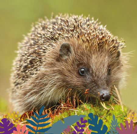 Animations Maison Beauval Nature - Activités dans le parc - ZooParc de Beauval