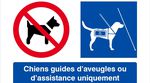 Logo Chiens guides d'aveugles ou d'assistance uniquement