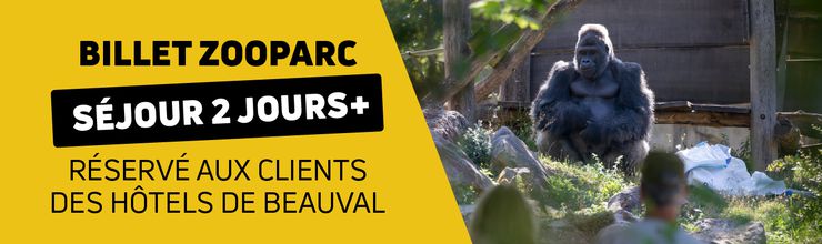 Offre Billet ZooParc Hôtel - Billetterie - ZooParc de Beauval