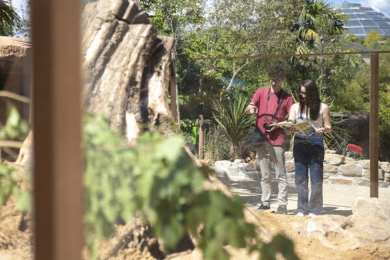 Les Rocs de Dodoma : ouverture du nouvel espace ce jeudi 1er mai !