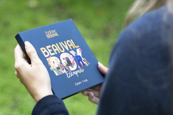 Fête des Mères : nos idées cadeaux pour leur faire plaisir à coup sûr !