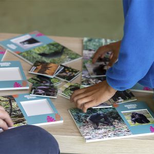 Animations Tour du Monde Maison Beauval Nature - Atelier jeu expédition caméra piège - ZooParc de Beauval