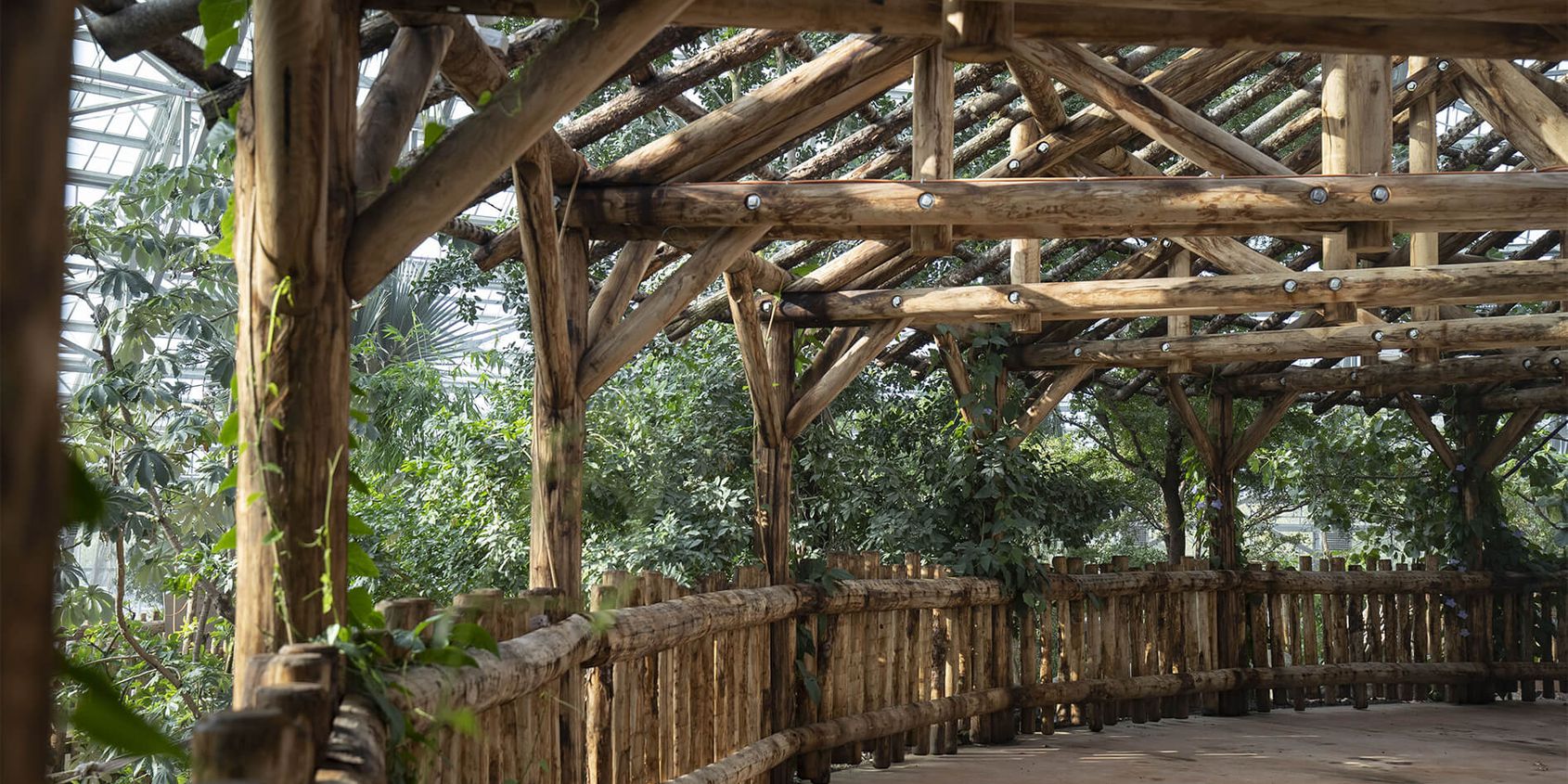 Intérieur Dôme Équatorial - Terrasse - Territoire du ZooParc de Beauval