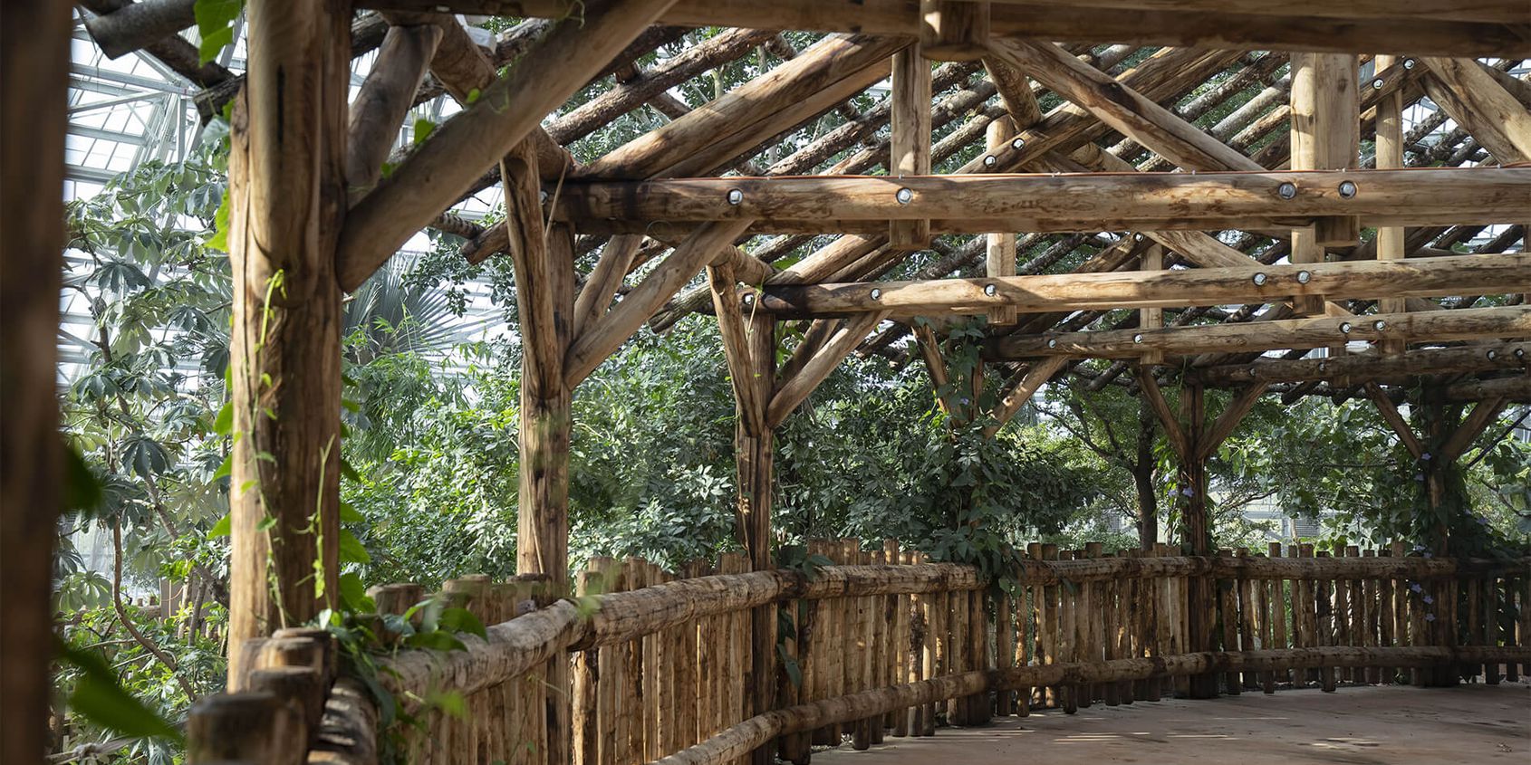 Inside the Equatorial Dome