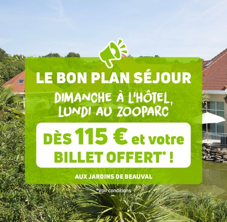 Bon plan séjour - Billets et séjours à prix réduit dans nos hôtels - ZooParc de Beauval