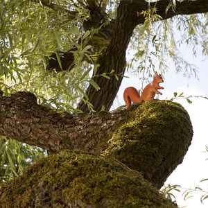 Animations Europe Maison Beauval Nature - Jeu de piste faune locale - ZooParc de Beauval