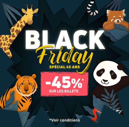 Black Friday 2025 - Achats de billets à prix réduits - Promotion - ZooParc de Beauval