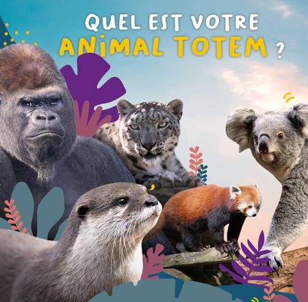 Jeu animal totem - Quiz - ZooParc de Beauval