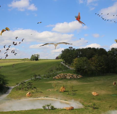 Spectacle d'oiseaux au ZooParc de Beauval - Les Maîtres des Airs