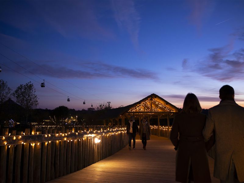 Noël à Beauval - Illuminations - ZooParc de Beauval