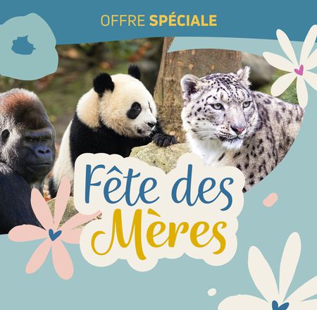 Offre Fête des Mères - Parrainage - Association Beauval Nature - ZooParc de Beauval