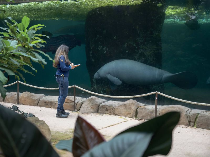 La recherche - ZooParc de Beauval