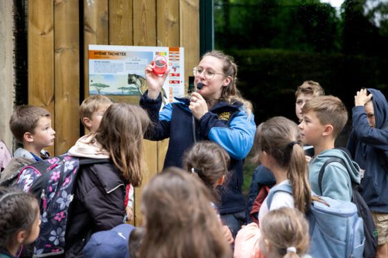Sortie pédagogique : réussir la journée d’apprentissage de vos élèves.