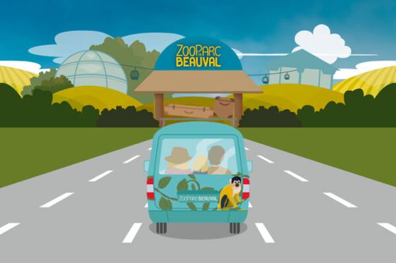 En route pour Beauval : jouez à notre jeu de l’été et gagnez de superbes lots !