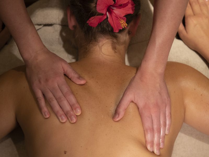 Faites une pause bien-être au Spa des Jardins de Beauval Spa des Jardins de Beauval - Nos idées de week-end en France - ZooParc de Beauval