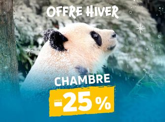 Offre hiver - Promotion séjours chambres - ZooParc de Beauval