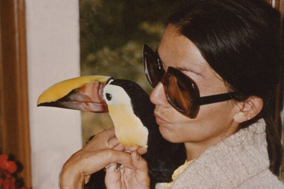 Comment Beauval est né ? Vidéo hommage à sa fondatrice, Françoise Delord