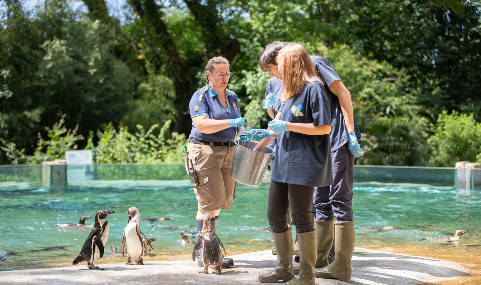 Activité adulte Soigneur d'un Jour - ZooParc de Beauval