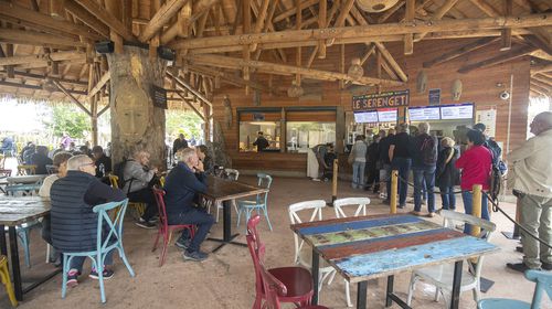 Le Serengeti - Restaurant - ZooParc de Beauval