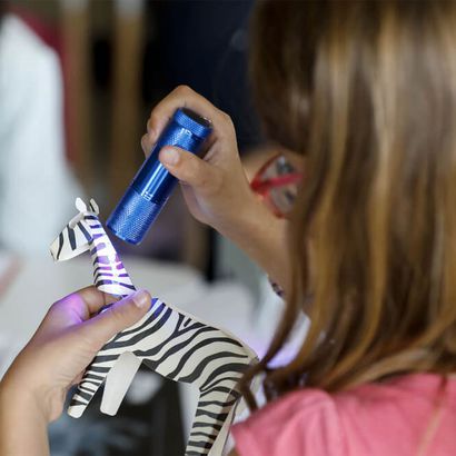 Pédagogie - Nos ateliers scolaires – ZooParc de Beauval