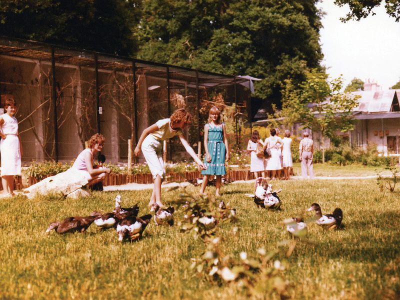 The ZooParc in its early days The ZooParc in its early days